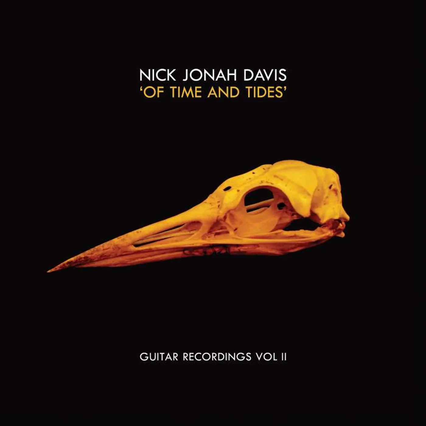 Nick Jonah Davis Of Time And Tides Vinyl Record