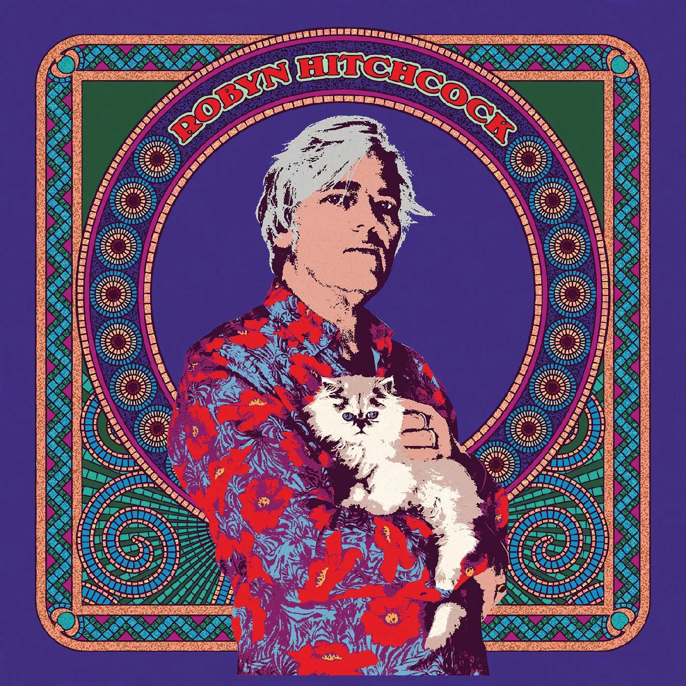 Robyn Hitchcock Vinyl Record
