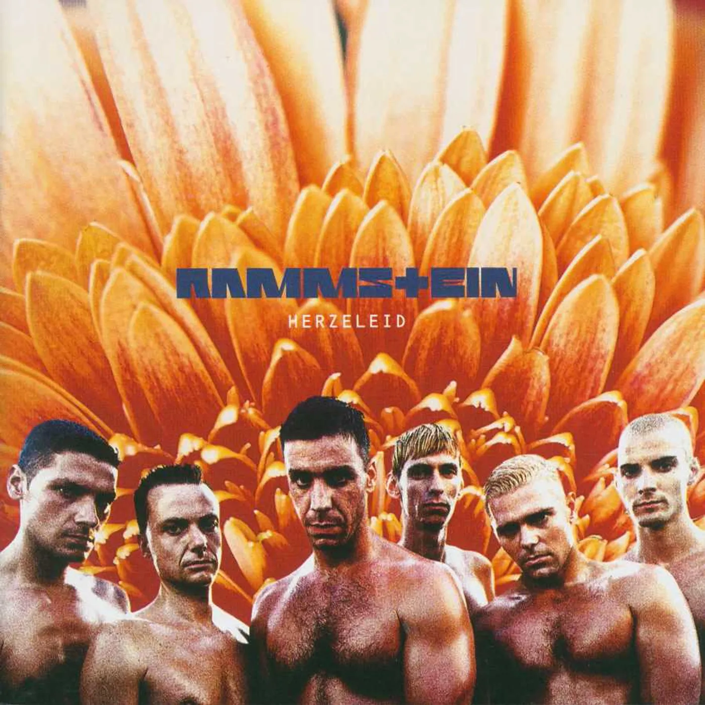 Rammstein HERZELEID (LIMITED 2LP) Vinyl Record