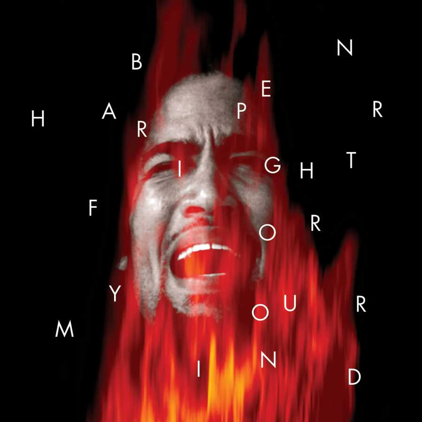 Ben Harper Fight For Your Mind Vinyl Record