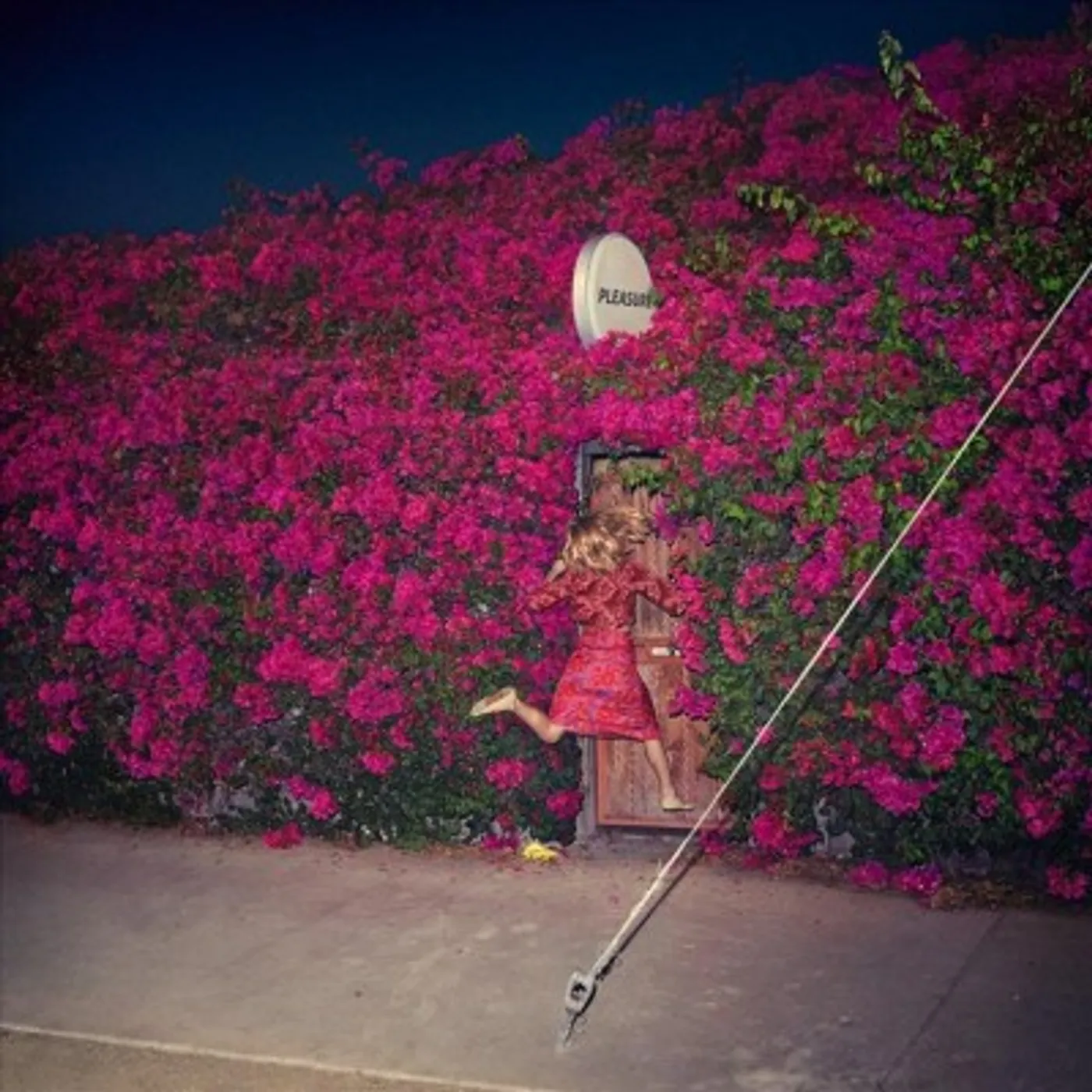 Feist PLEASURE Vinyl Record
