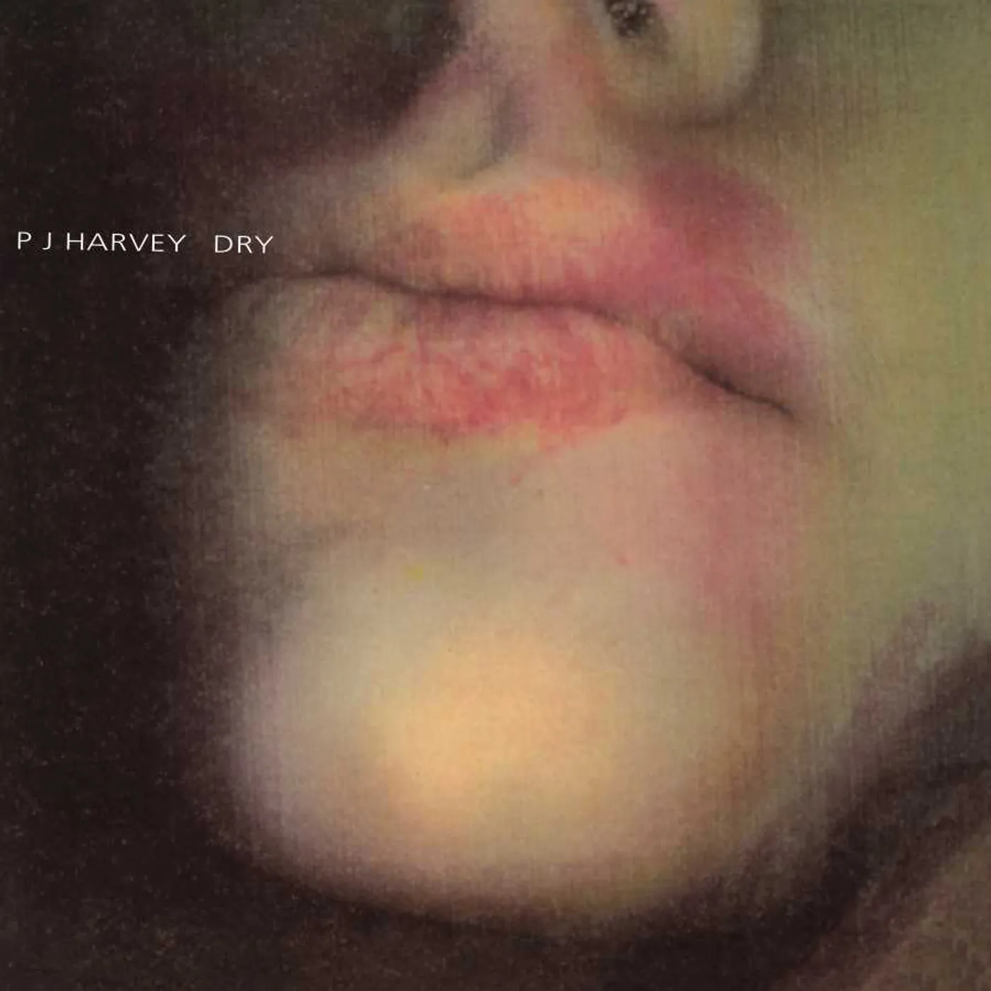 PJ Harvey DRY (180G) Vinyl Record