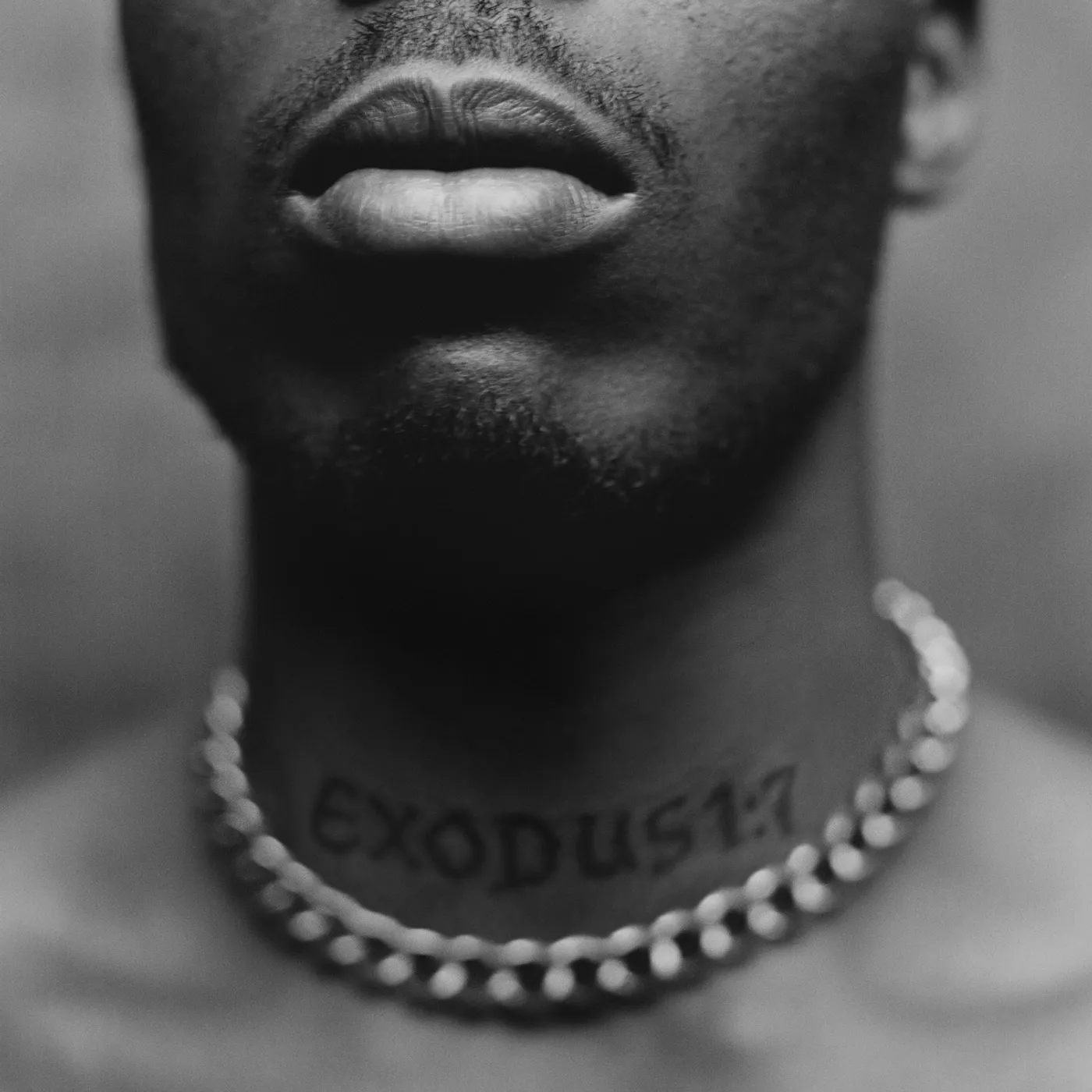 DMX Exodus Vinyl Record