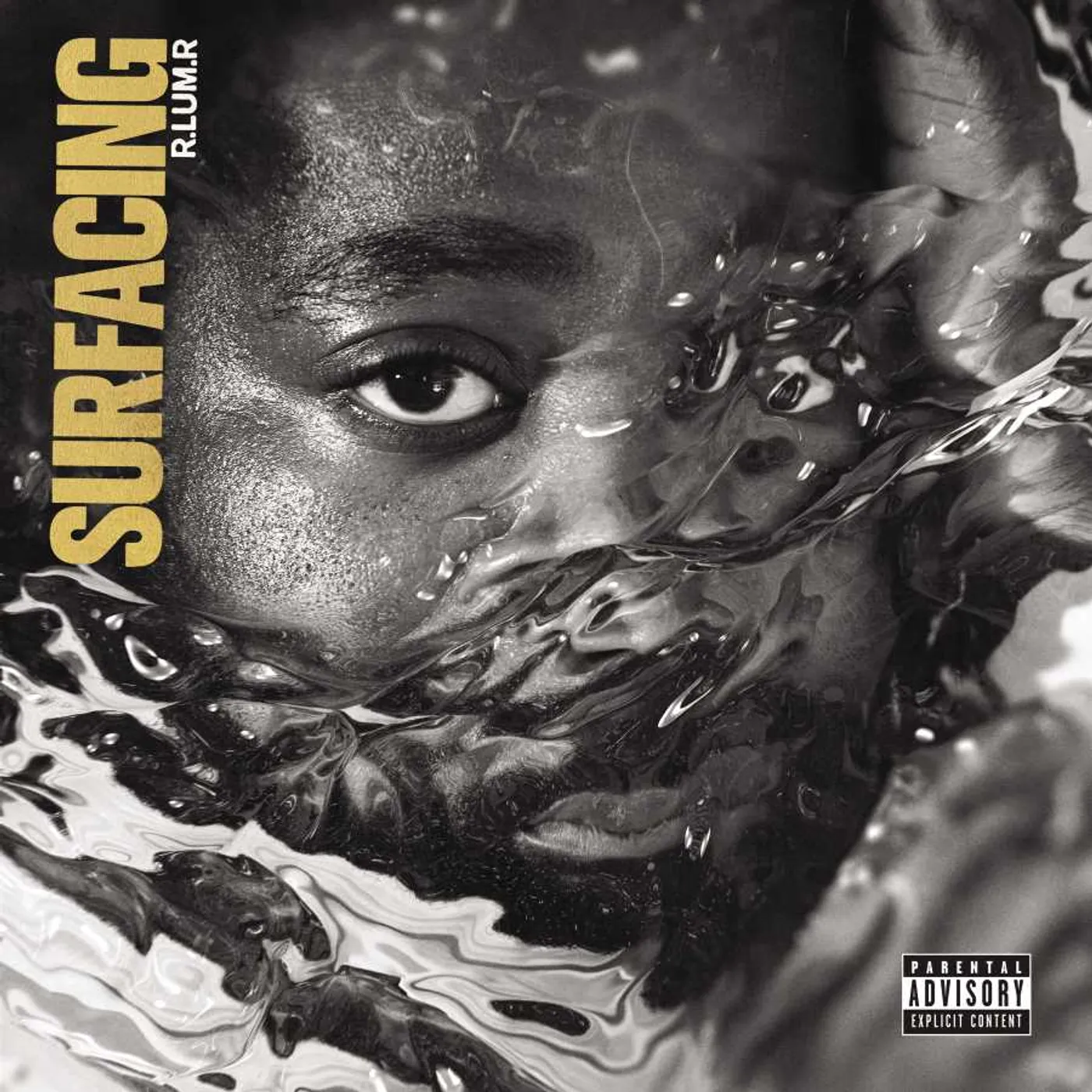 R.LUM.R SURFACING (X) Vinyl Record