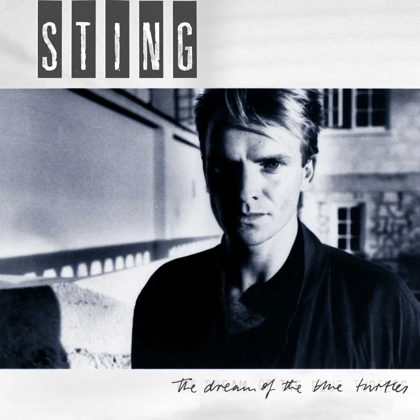 Sting Dream Of  The Blue Turtles (LP) Vinyl Record