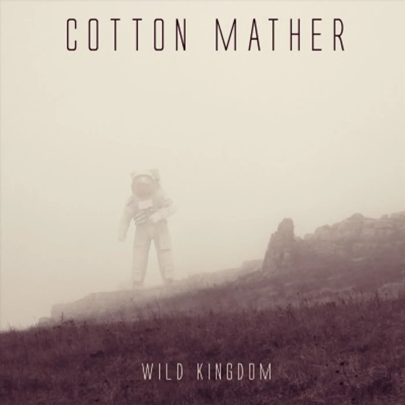 Cotton Mather Wild Kingdom Vinyl Record