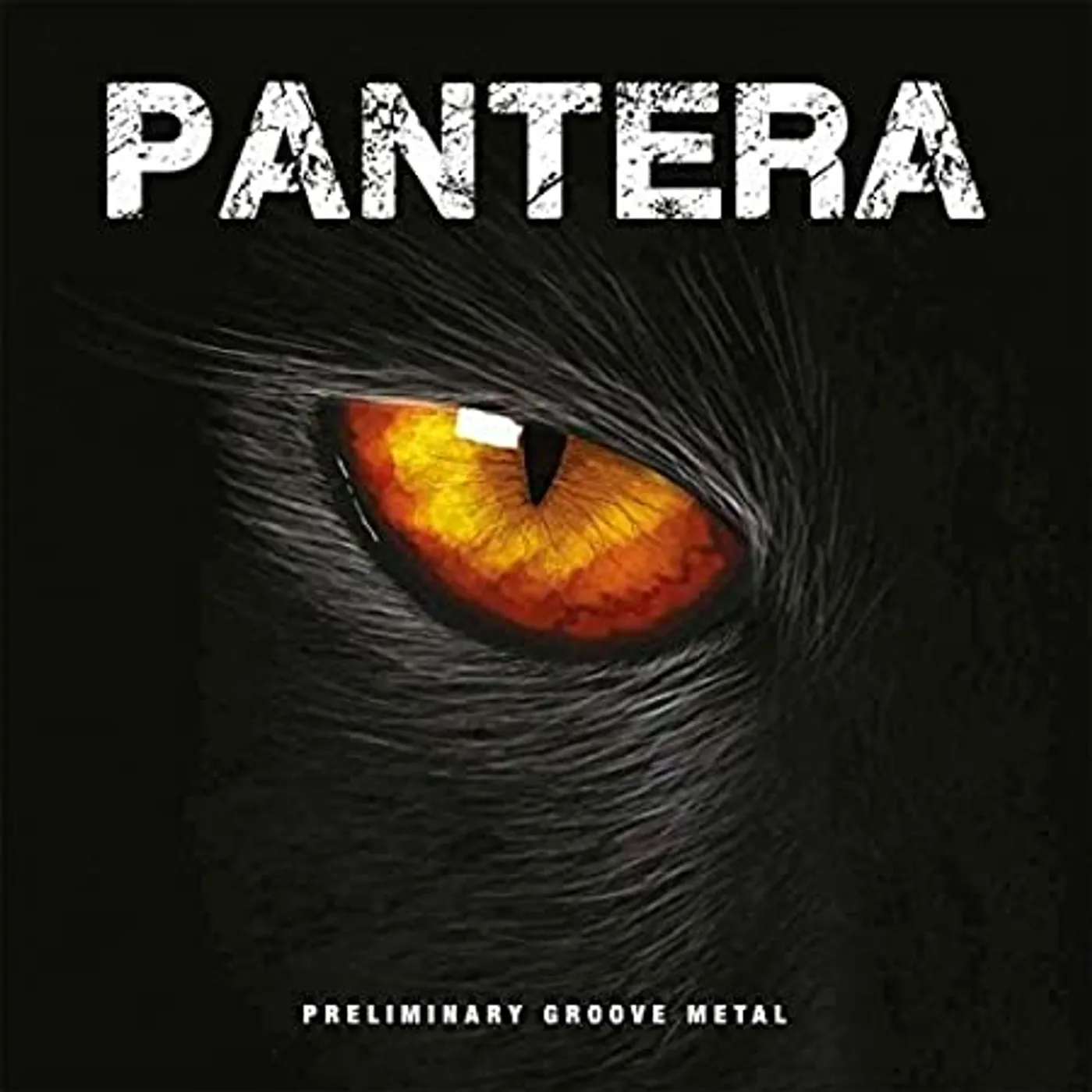 Pantera Preliminary Groove Metal Vinyl Record