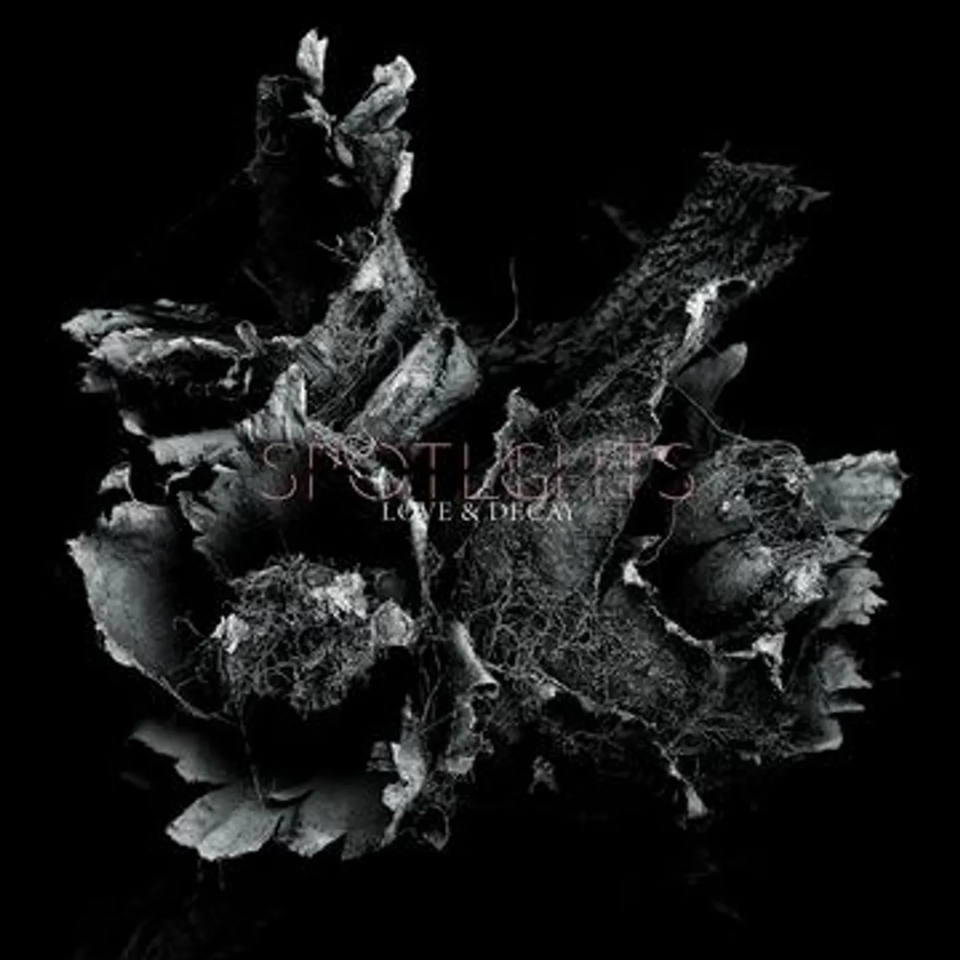 Spotlights LOVE & DECAY CD