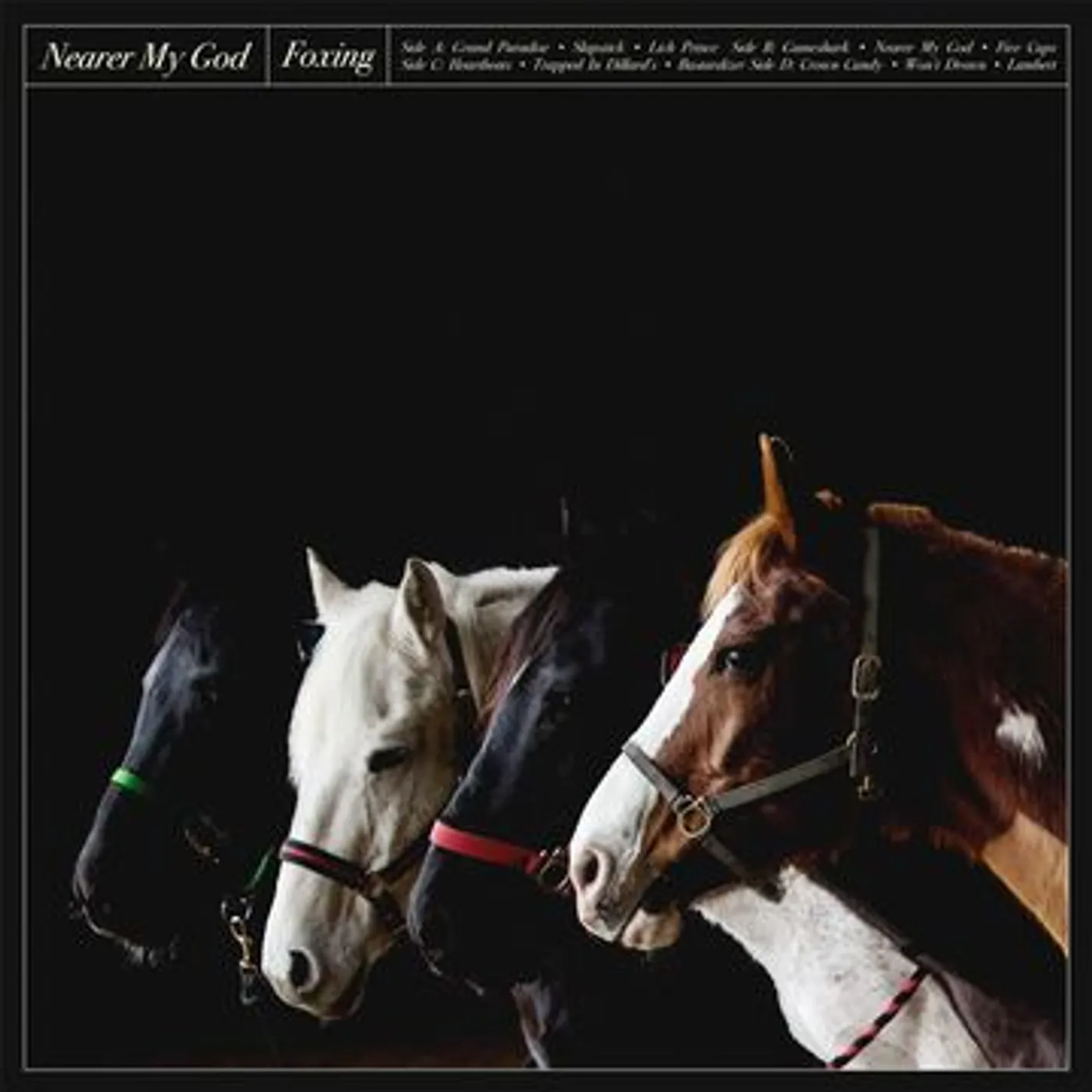 Foxing Nearer My God CD
