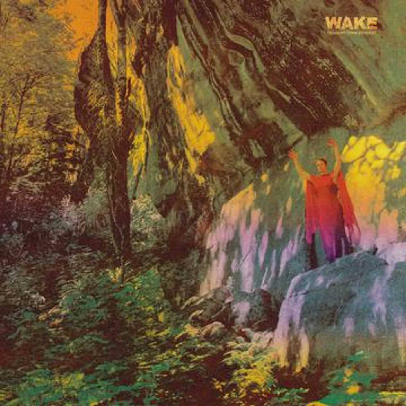 Wake THOUGHT FORM DESCENT CD