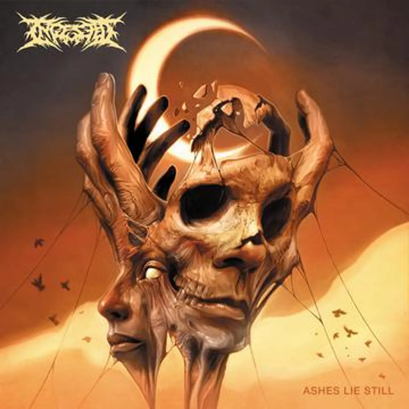 Ingested ASHES LIE STILL CD