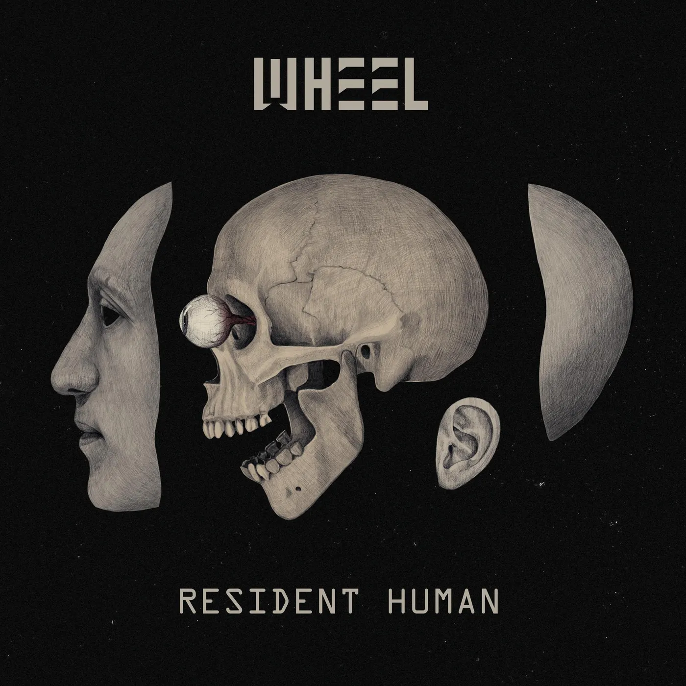 Wheel Resident Human CD
