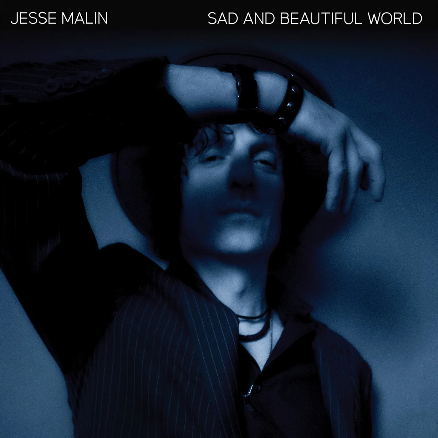 Jesse Malin SAD AND BEAUTIFUL WORLD CD