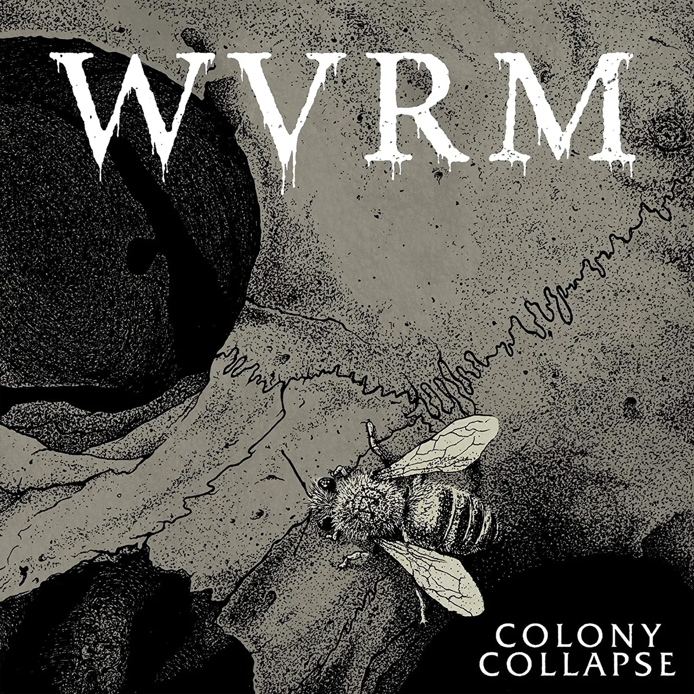 WVRM Colony Collapse CD