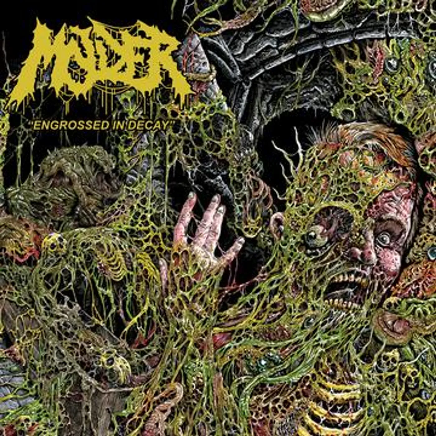 Molder ENGROSSED IN DECAY CD