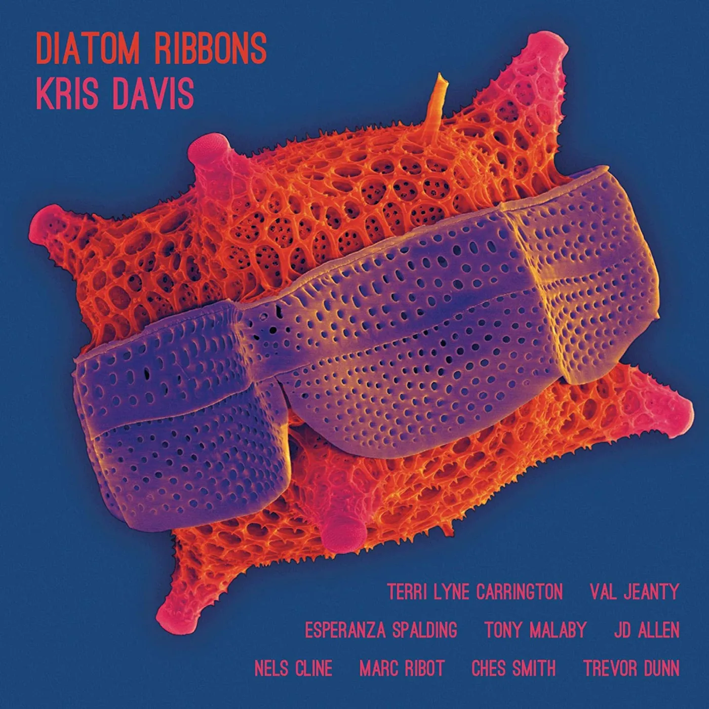 Kris Davis Diatom Ribbons CD