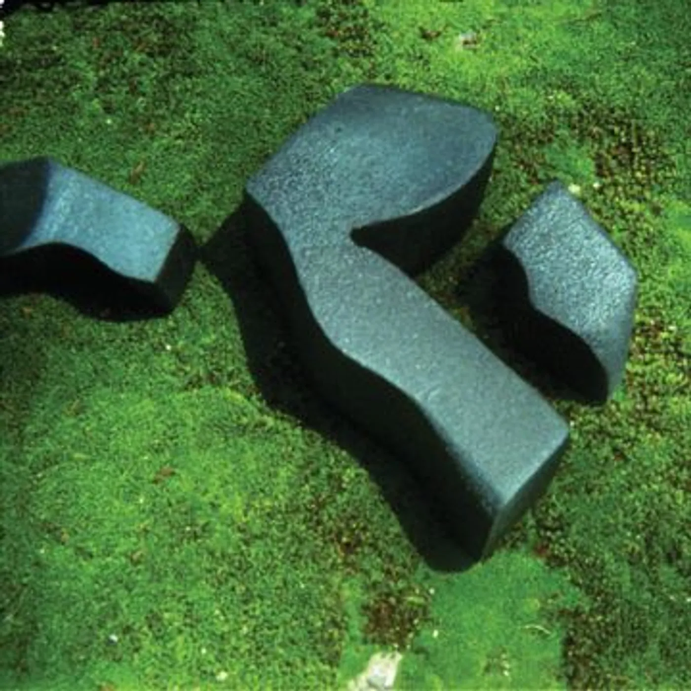 Camila Fuchs Heart Pressed Between Stones CD