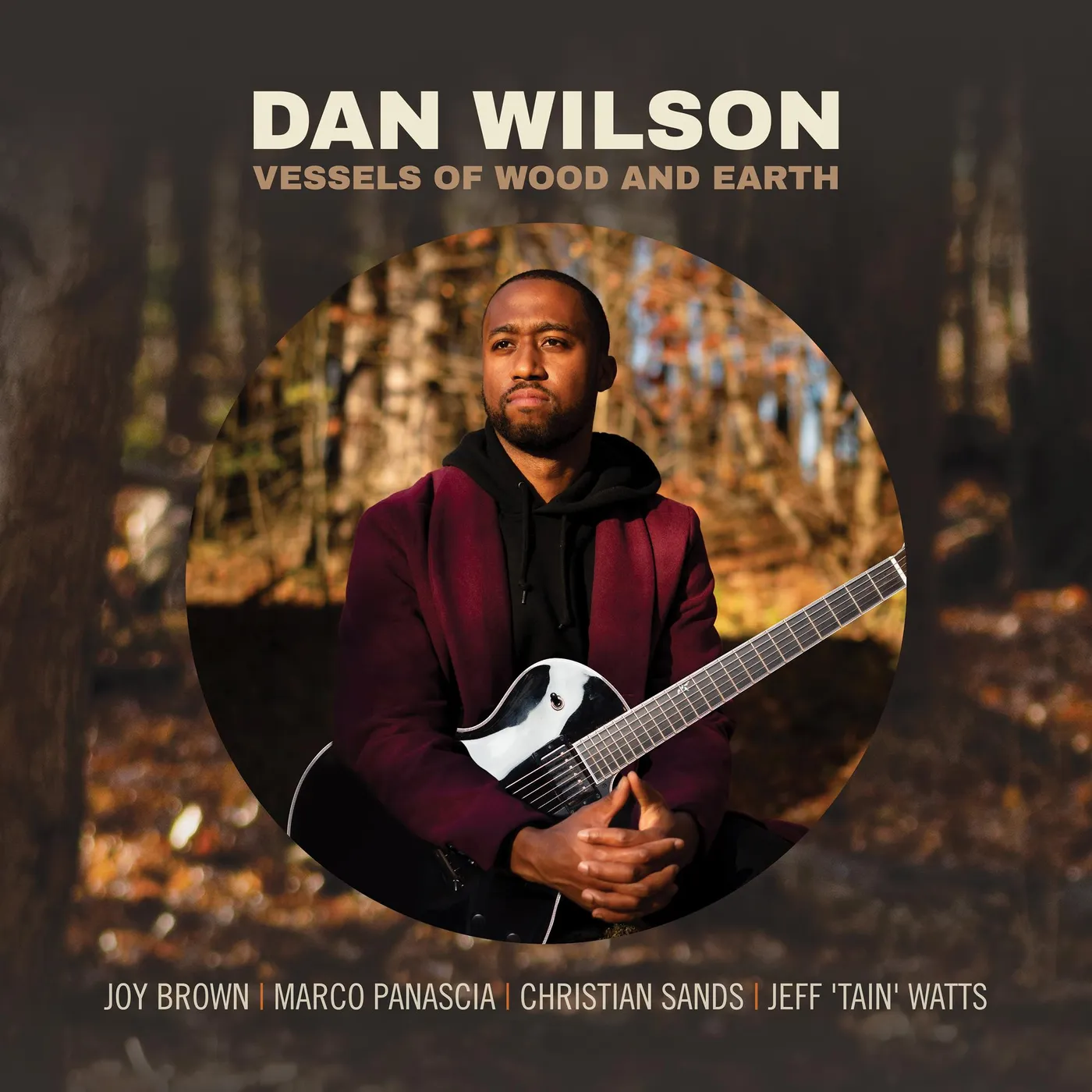 Dan Wilson VESSELS OF WOOD AND EARTH CD