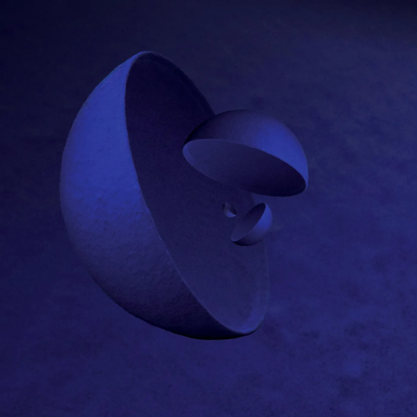 Molassess THROUGH THE HOLLOW CD