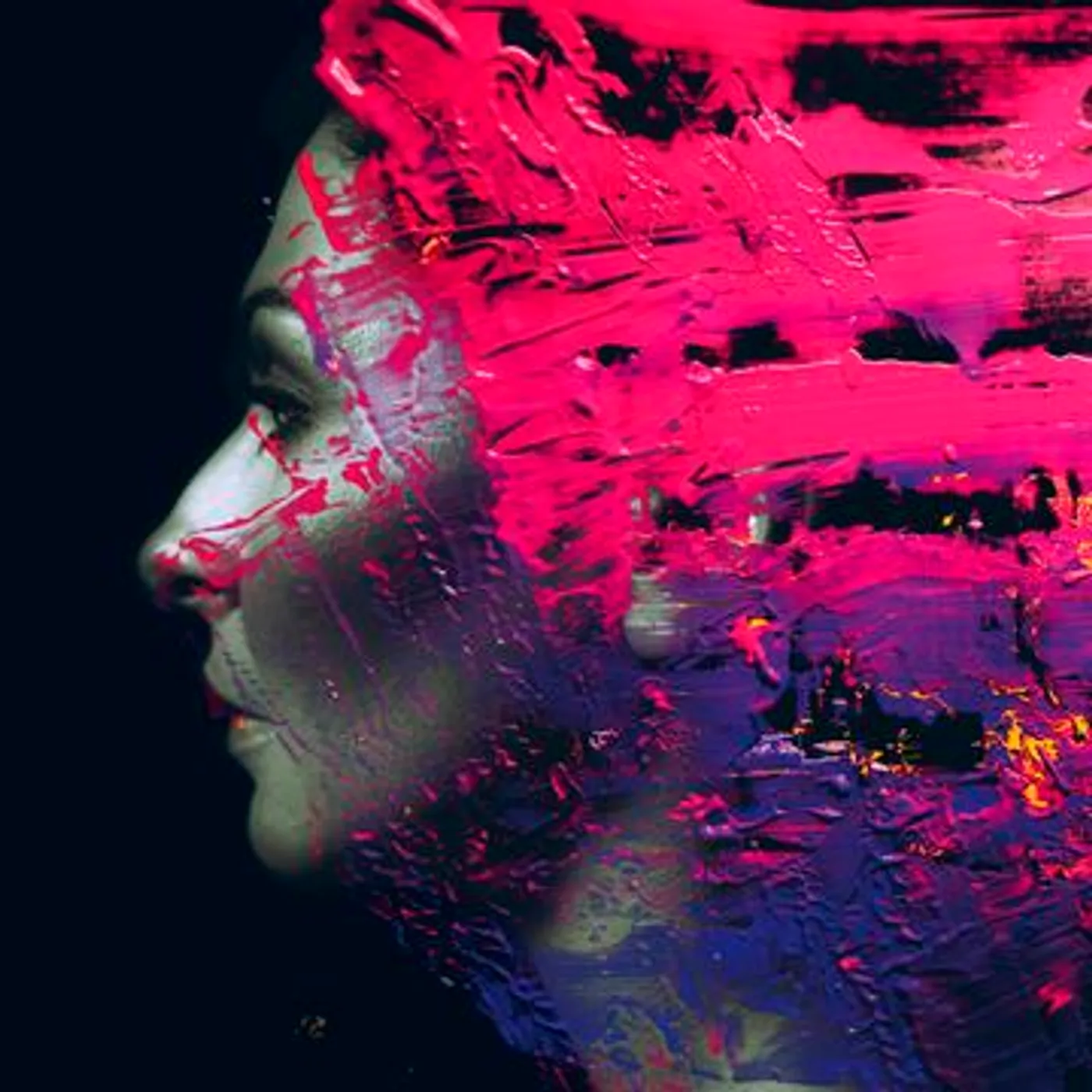 Steve Wilson HAND.CANNOT.ERASE CD