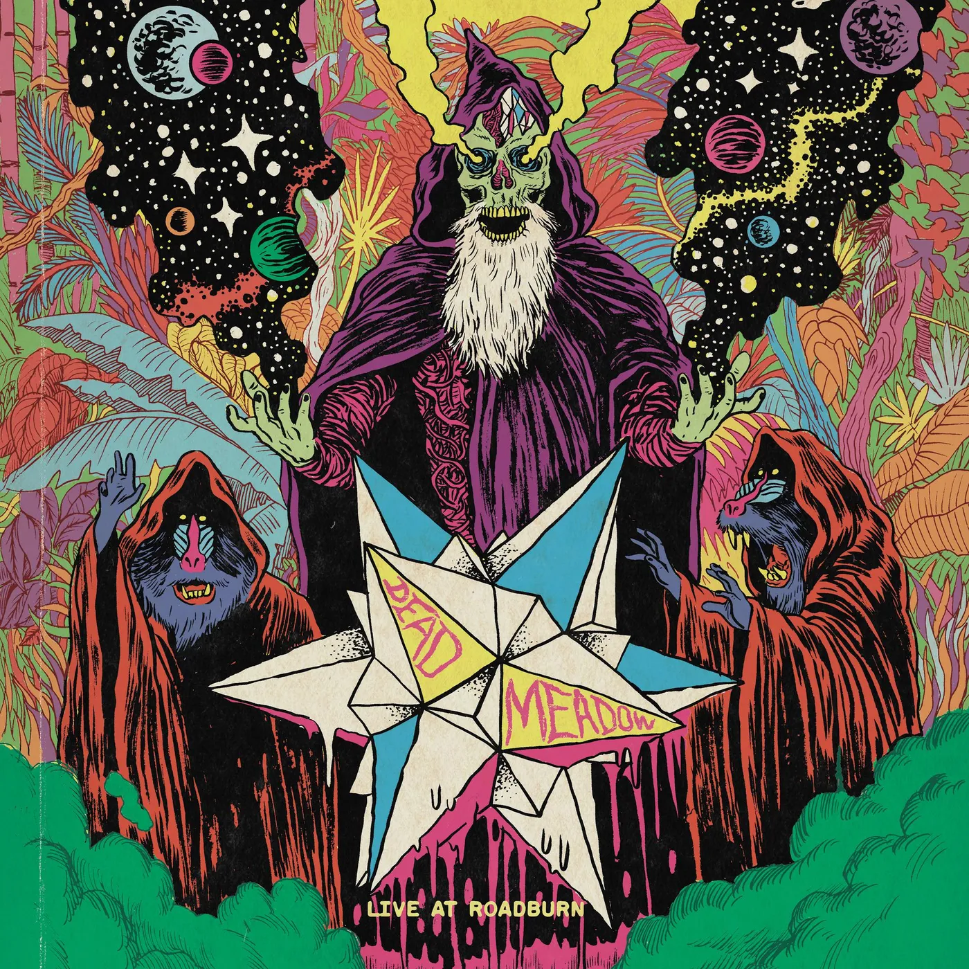Dead Meadow LIVE AT ROADBURN 2011 CD