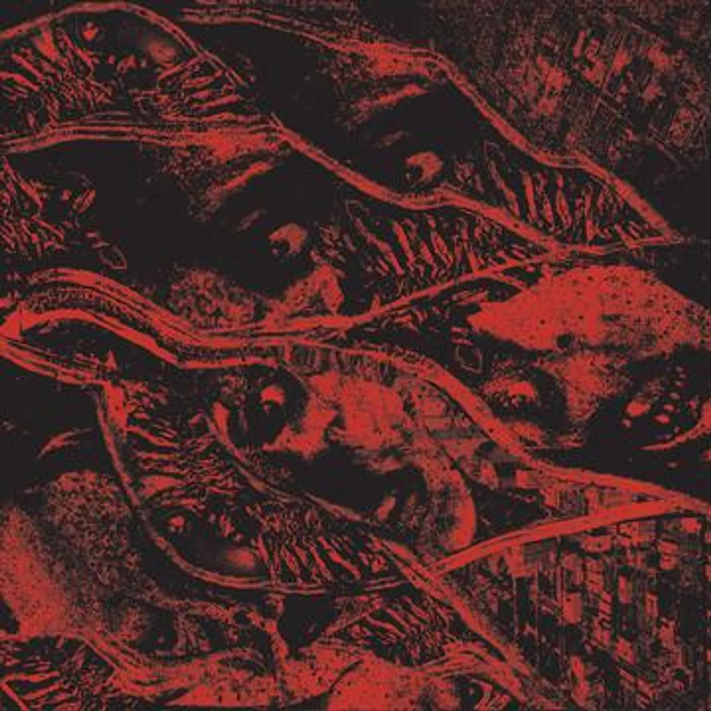 Vermin Womb RETALIATION CD