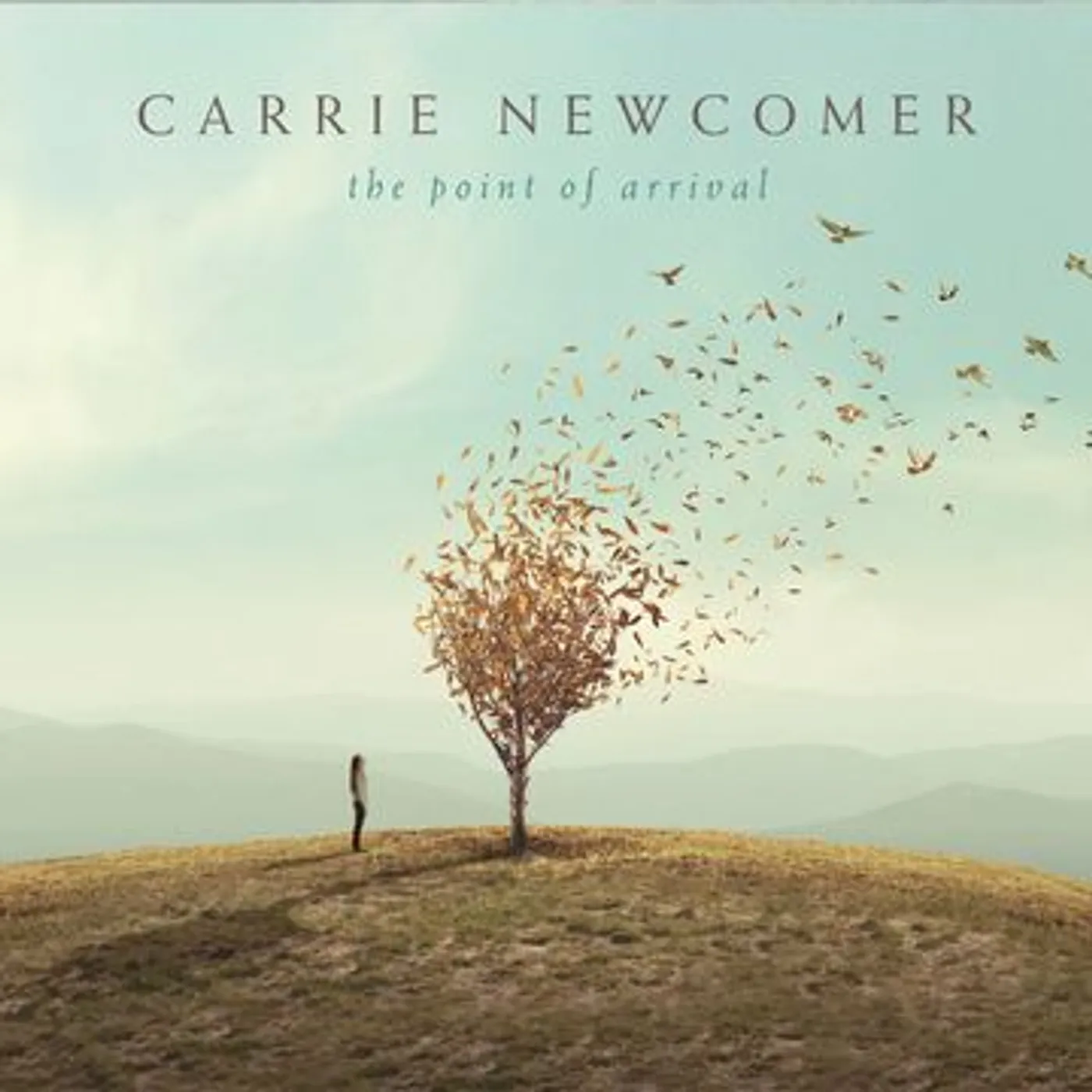 Carrie Newcomer Point Of Arrival CD
