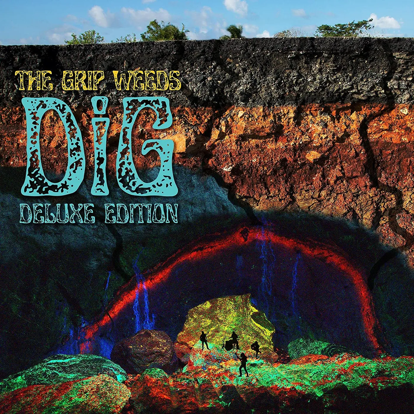 The Grip Weeds DIG CD
