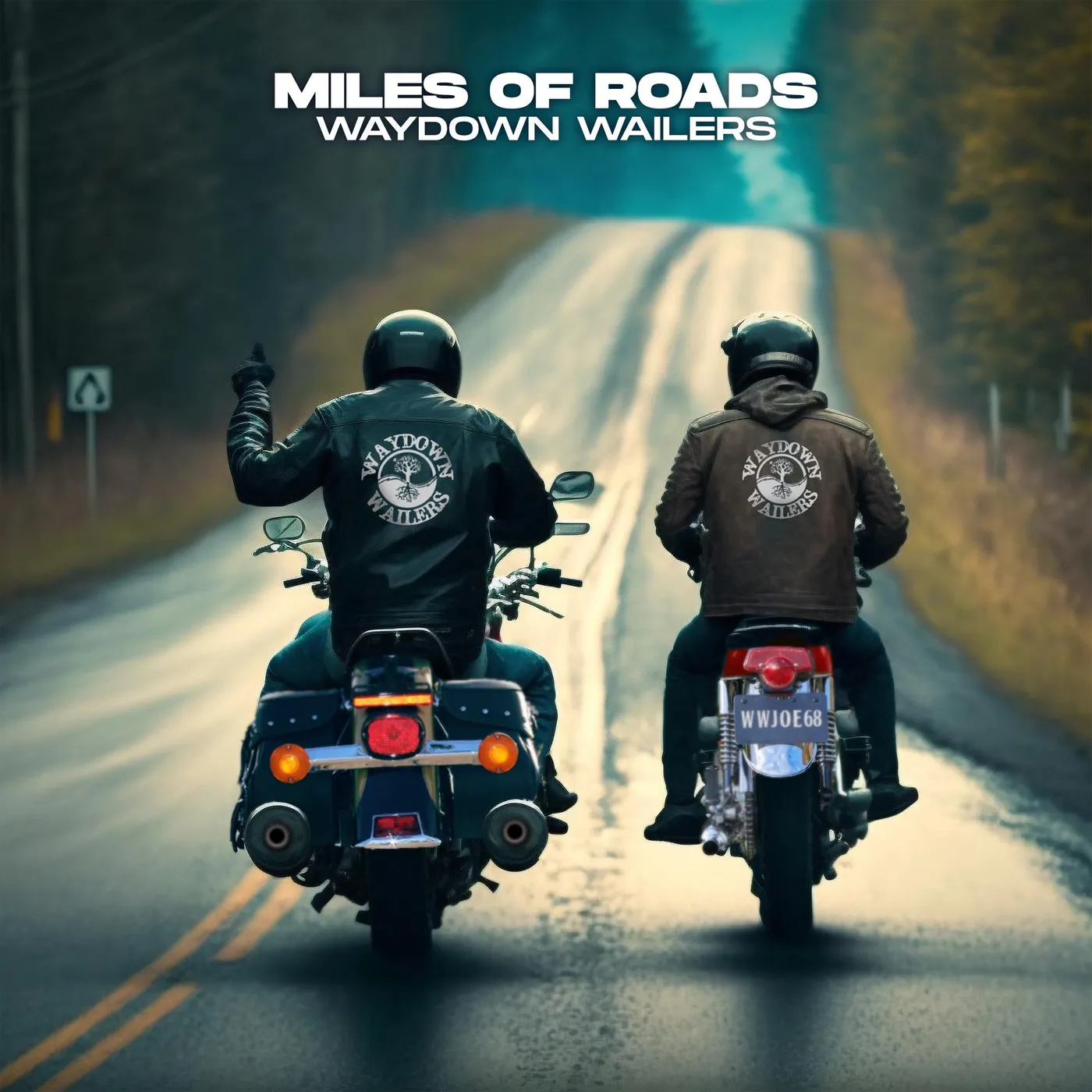 Waydown Wailers Miles Of Roads CD