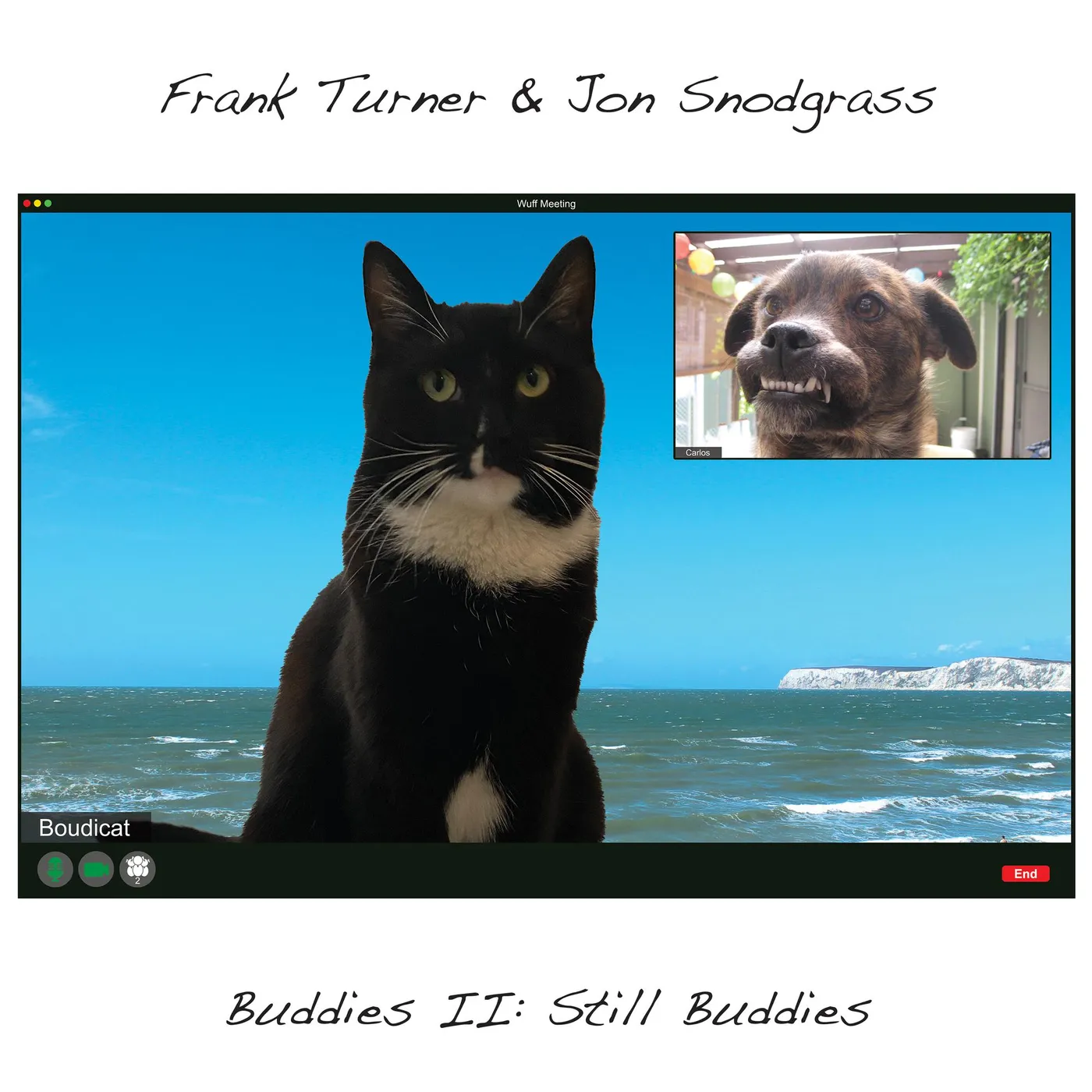 Frank Turner / Jon Snodgrass BUDDIES II: STILL BUDDIES CD
