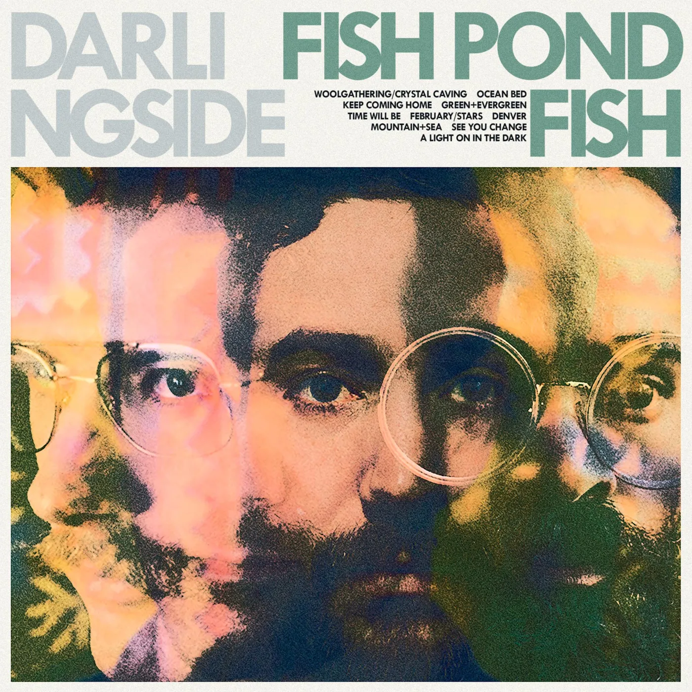Darlingside Fish Pond Fish Vinyl Record