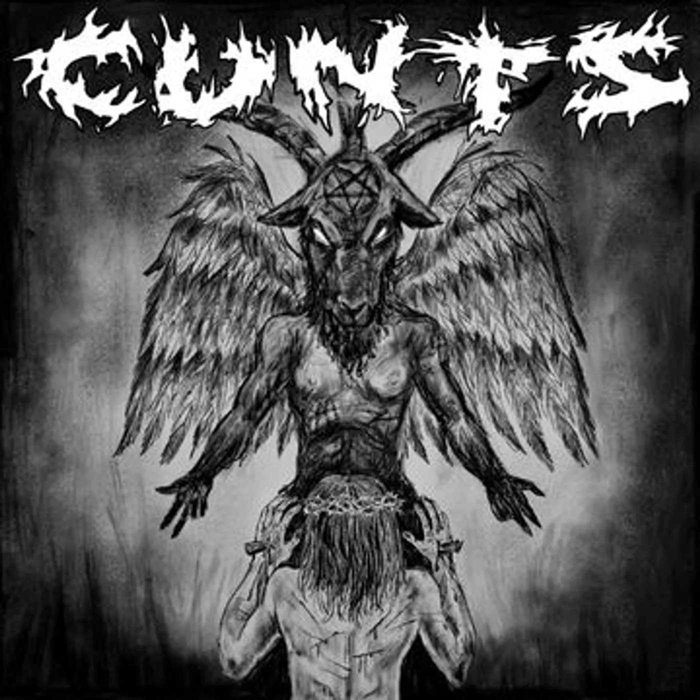Cunts Vinyl Record