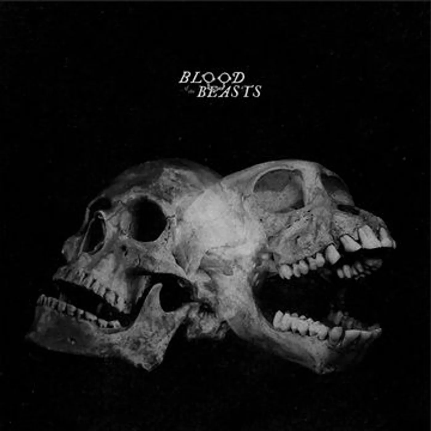 Sect BLOOD OF  THE BEASTS Vinyl Record