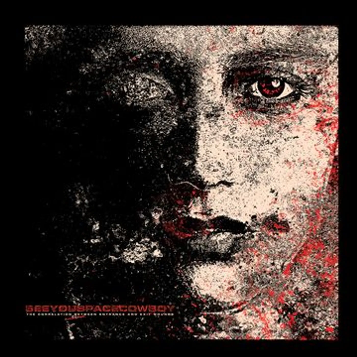 SeeYouSpaceCowboy... CORRELATION BETWEEN ENTRANCE & EXIT WOUNDS Vinyl Record