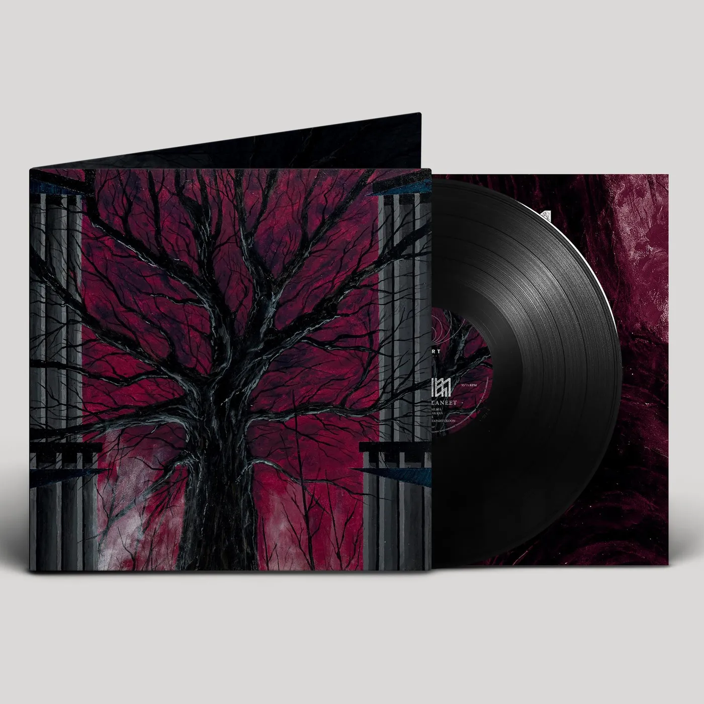 Radien Unissa Palaneet Vinyl Record