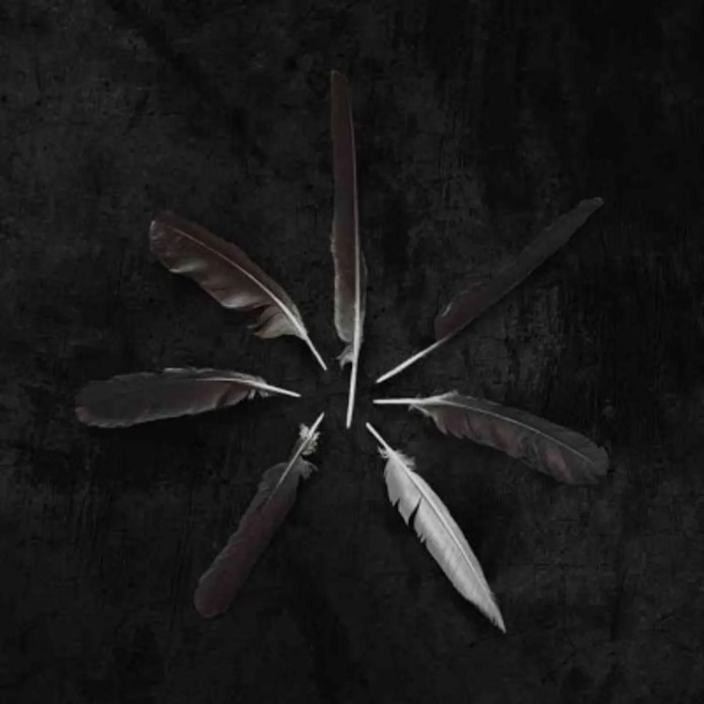 Caspian DUST & DISQUIET (COLORED) Vinyl Record