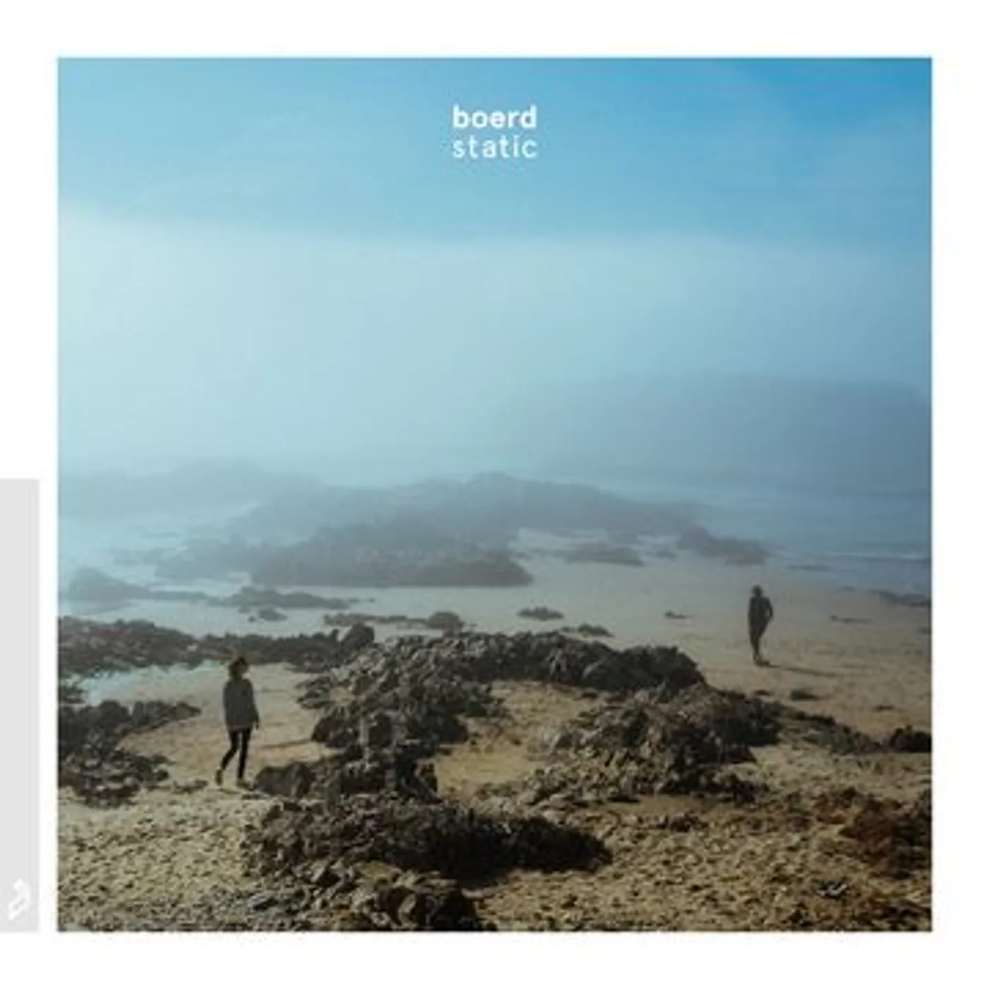 boerd Static Vinyl Record