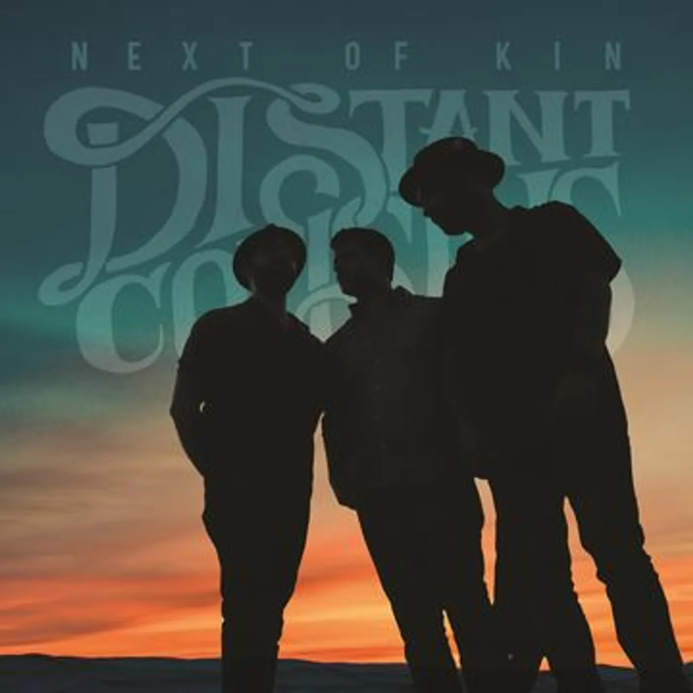 Distant Cousins Next of Kin Vinyl Record