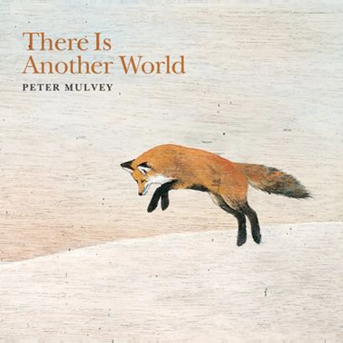 Peter Mulvey There Is Another World Vinyl Record