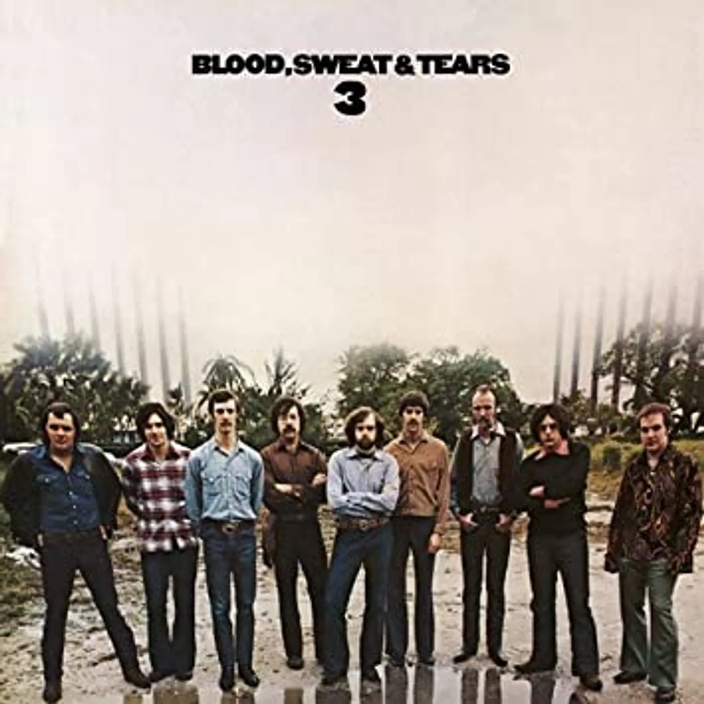 Blood, Sweat & Tearscord (Vinyl)