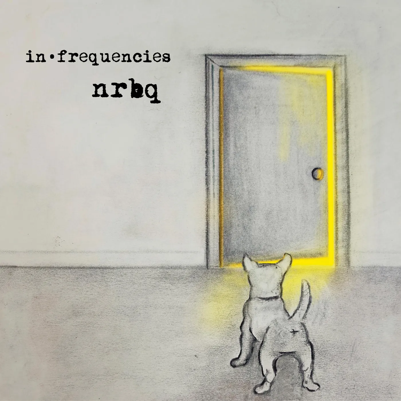 NRBQ IN • FREQUENCIES Vinyl Record