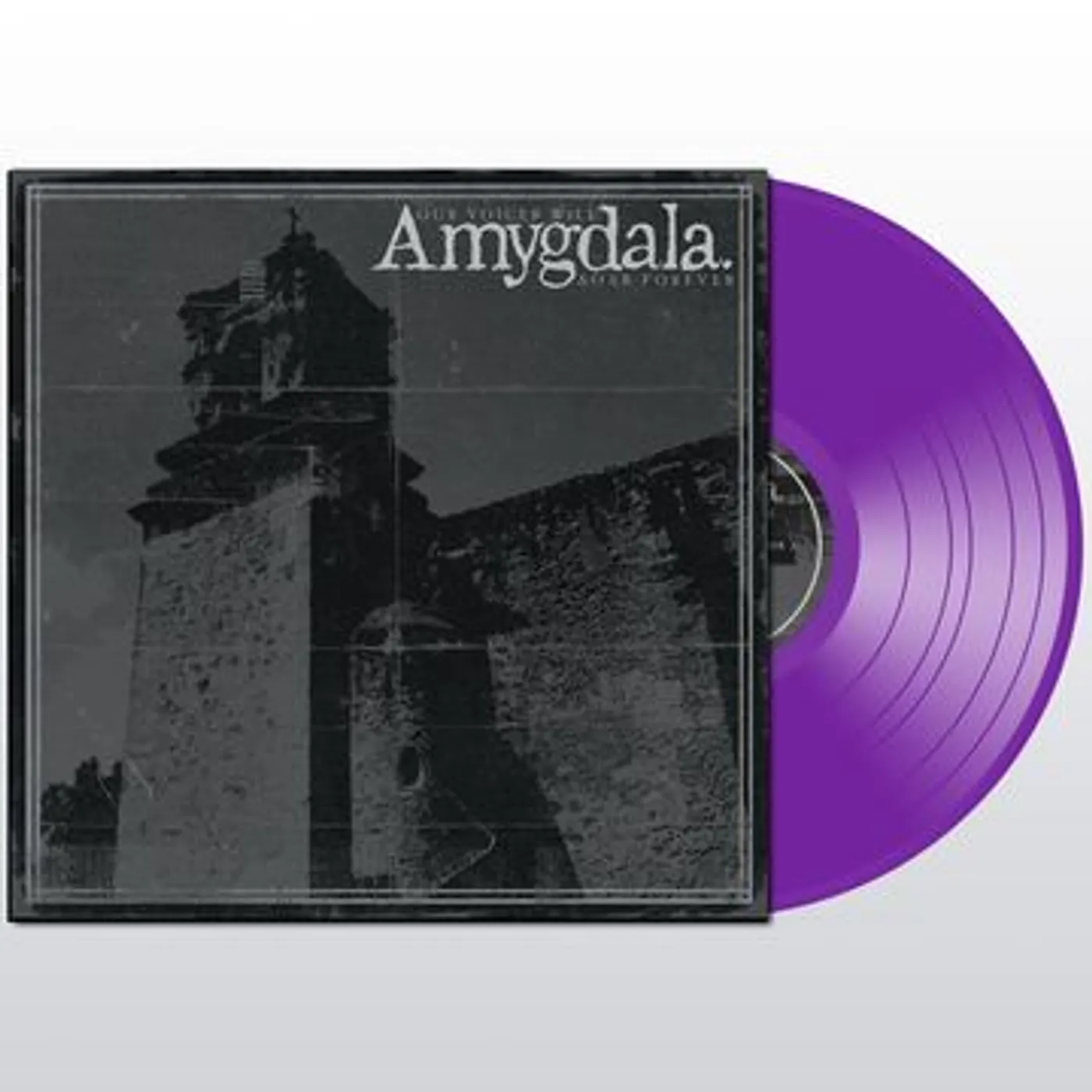 Amygdala OUR VOICES WILL SOAR Vinyl Record