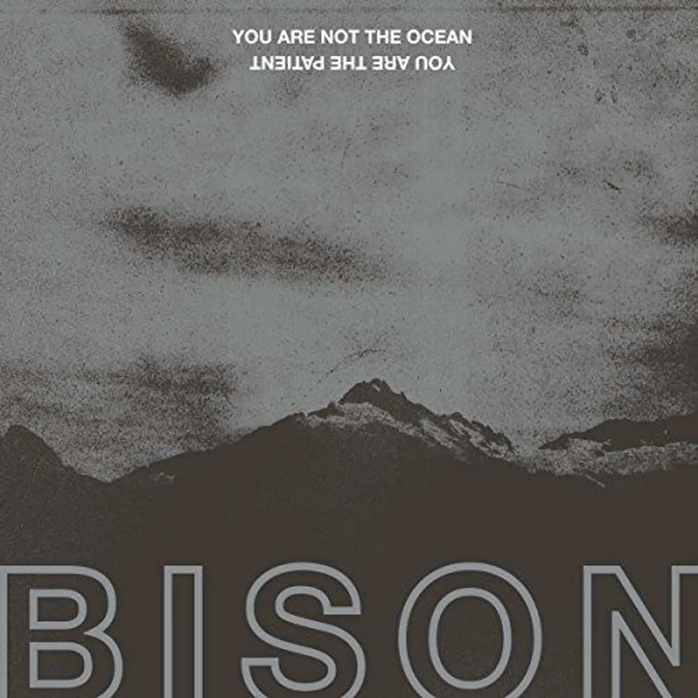 Bison You Are Not The Ocean You Are The Patient Vinyl Record