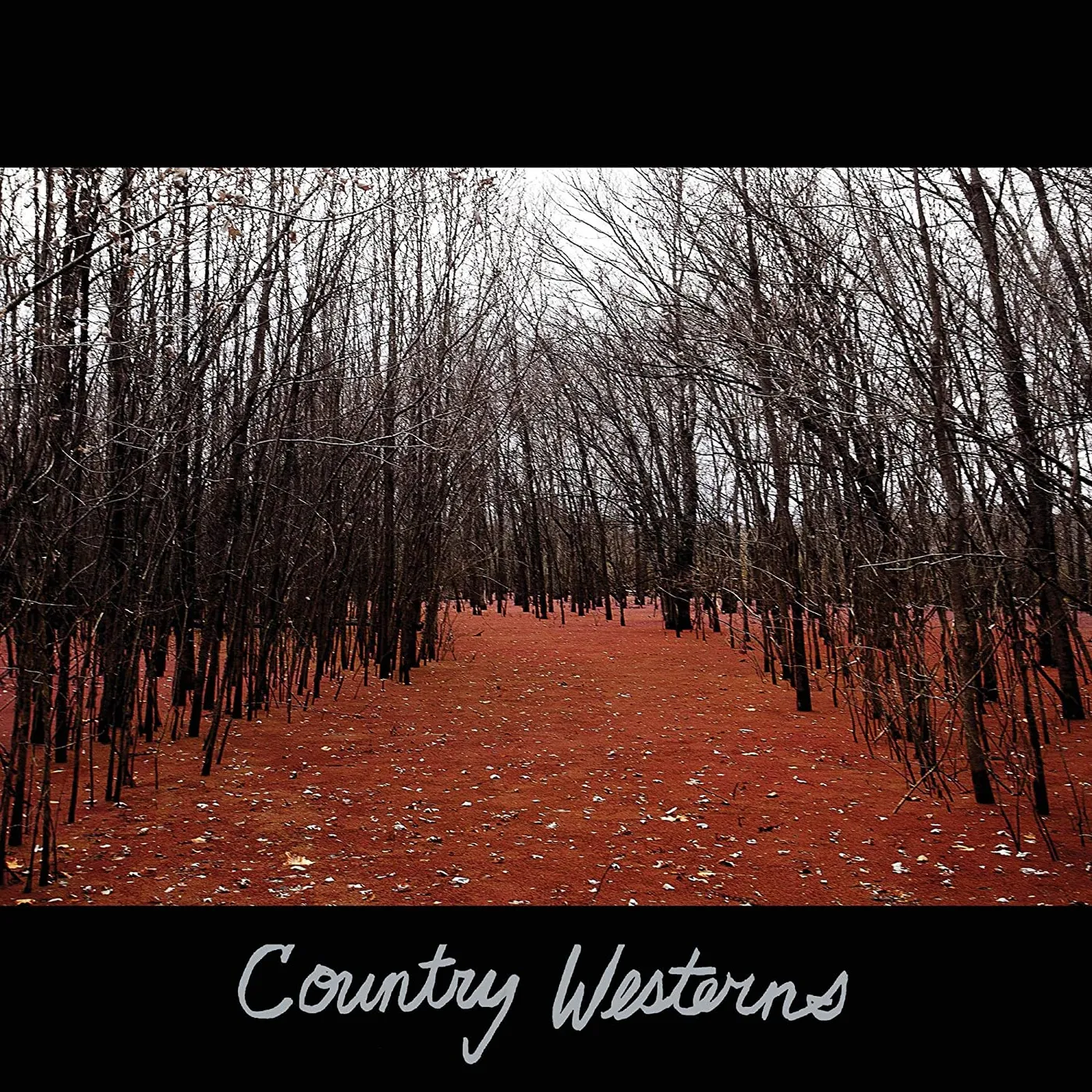 Country Westerns Vinyl Record
