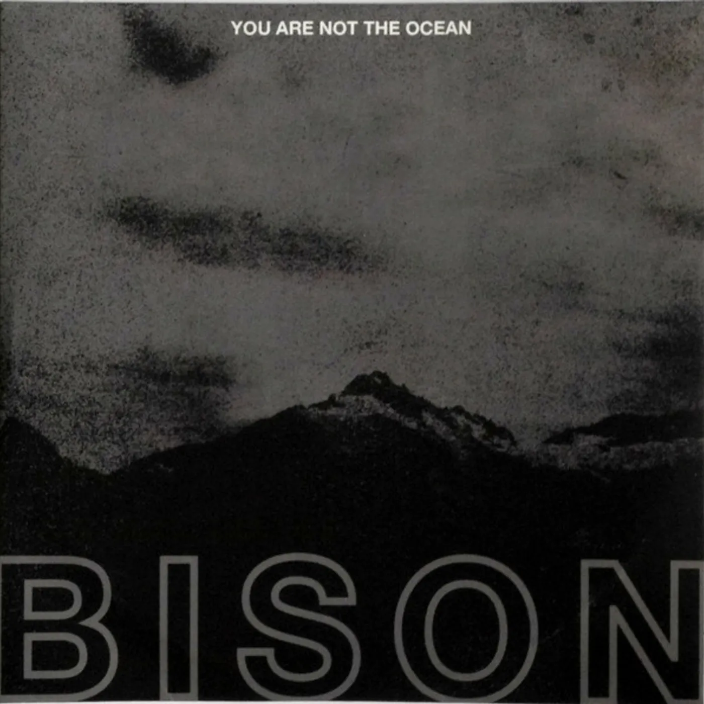 Bison You are not the ocean you are the patien Vinyl Record