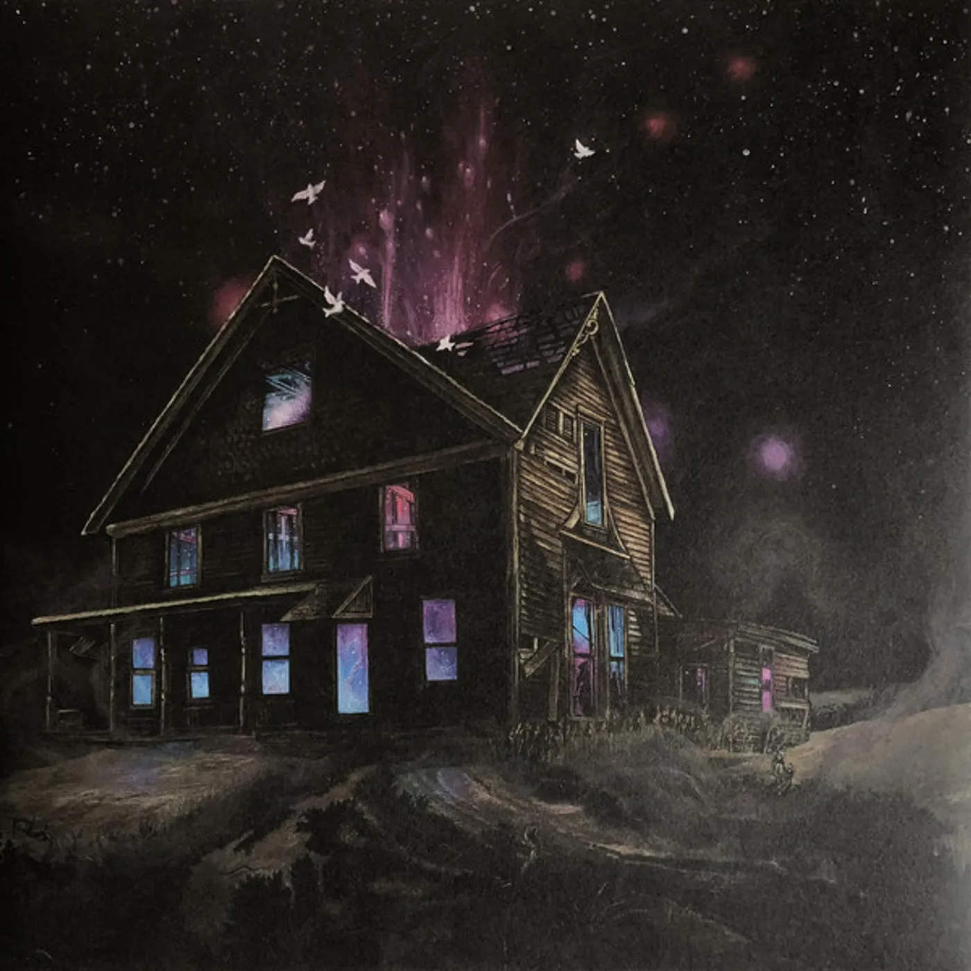 Ancestors Suspended in reflections Vinyl Record