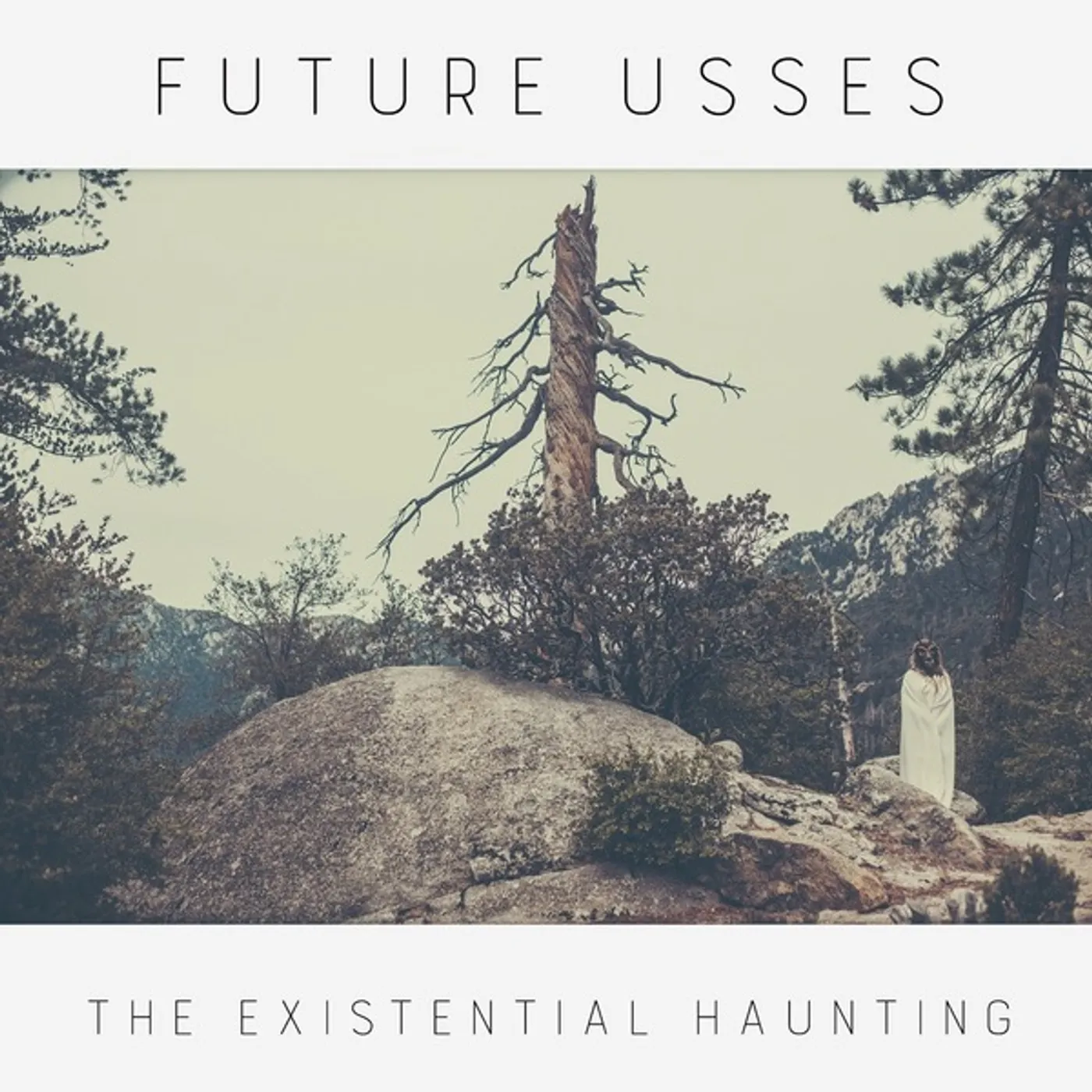 Future Usses The existential haunting Vinyl Record