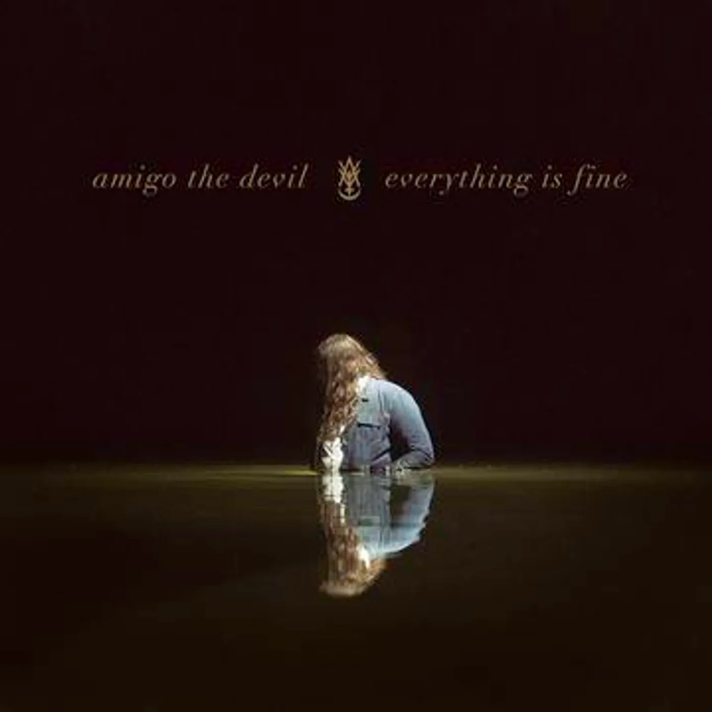 Amigo the Devil Everything Is Fine Vinyl Record