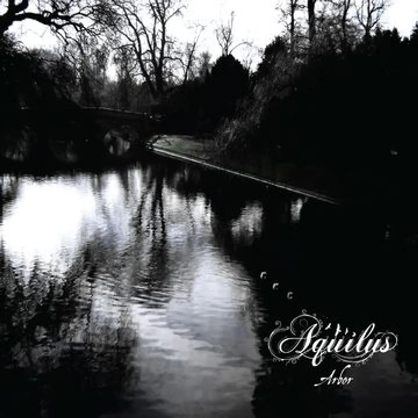 Aquilus Arbor Vinyl Record