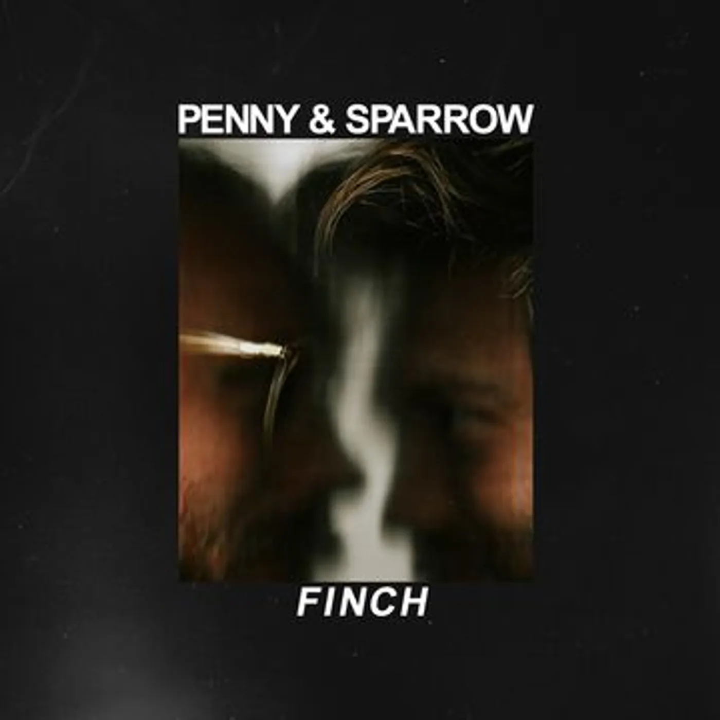 Penny and Sparrow Finch Vinyl Record